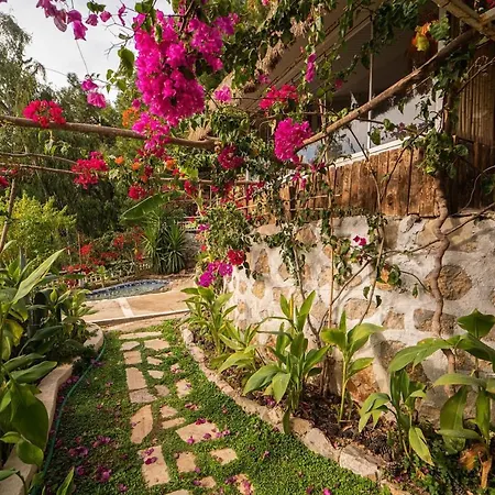 Lejlighedshotel Begonvilla Bungalows