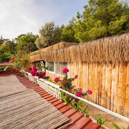 Begonvilla Bungalows Lejlighedshotel